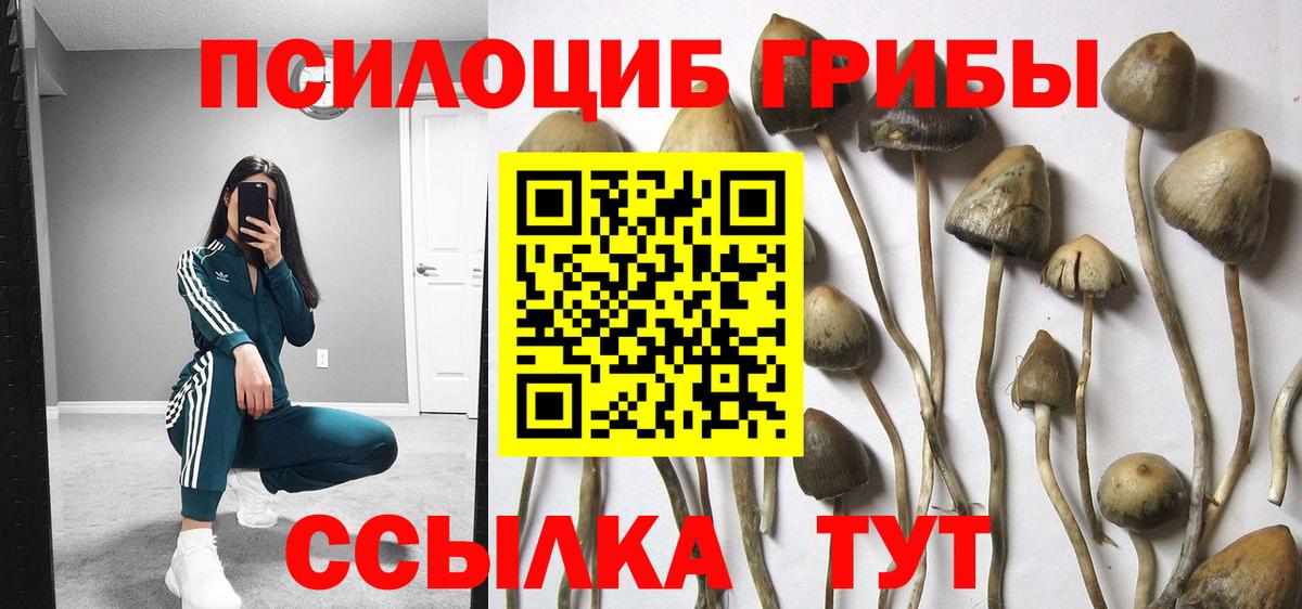Галлюциногенные грибы MAGIC MUSHROOMS  Вход с VPN  Красный Сулин 